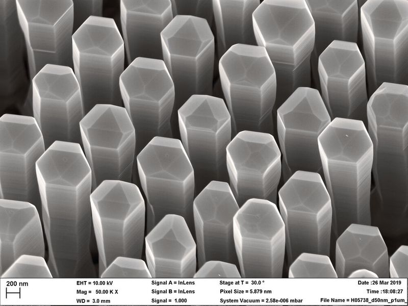 Nanodrähte aus Germanium-Silizium-Legierung mit hexagonalem Kristallgitter können Licht erzeugen. Sie könnten direkt in die gängigen Prozesse der Silizium-Halbleitertechnologie integriert werden. (Bild: Elham Fadaly / TU Eindhoven)