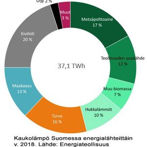 Abbildung 2: Fernwärmenutzung in Finnland(Bild:  Antti Laine)