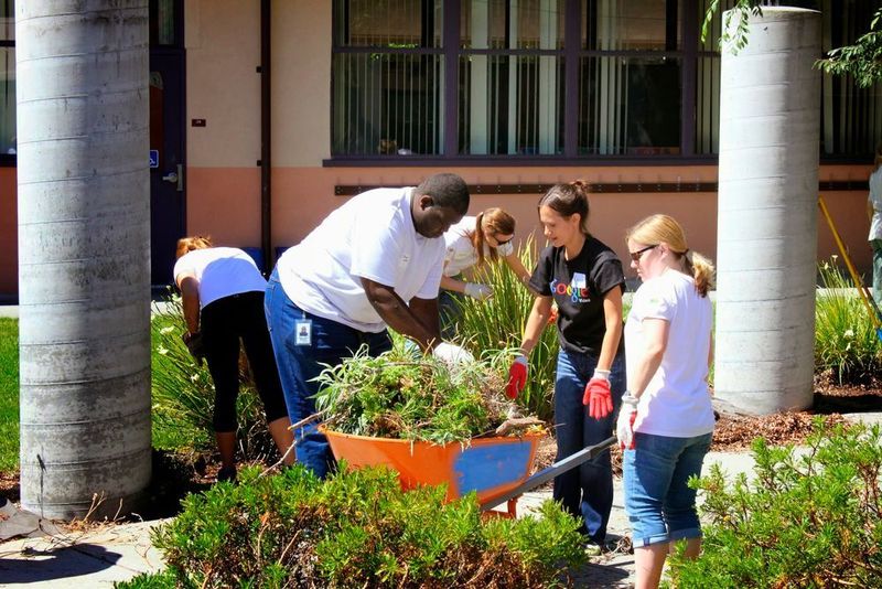 Das Mitarbeiterprogramm „GoogleServe“ zielt darauf ab, lokal gemeinnützig tätig zu sein. (Google)