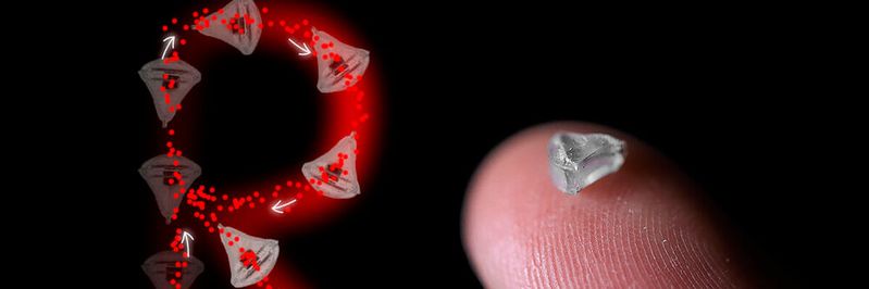 Rechts: Miniaturroboter mit eingebautem SMOL-Tracker, der eingebaute Magnet ist lediglich 1 mm groß; links: der Bewegungspfad eines SMOL-gesteuerten Miniaturroboters.(Bild:  Quelle: Qiu / DKFZ)