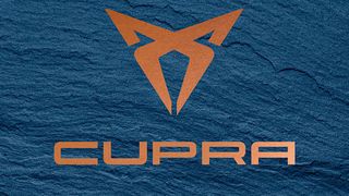 Seat baut seine Performance-Abteilung Cupra zu einer neuen und eigenständigen Sportmarke aus.  (Seat)