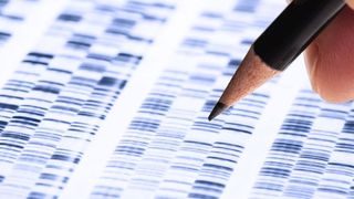 Die Phenylketonurie ist eine der häufigsten angeborenen Stoffwechselerkrankungen. Es sind bislang mehrere hundert Mutationen des Phenylalanin-Hydroxylase-Gens bekannt, die eine klassische Phenylketonurie auslösen können. (Symbolbild) (©Eisenhans - stock.adobe.com)