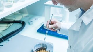 Insektenverarbeitung im Forschungslabor von Bühler (Bühler)