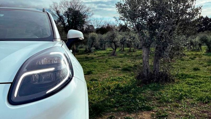 Ford breaks new ground in eco-friendly automotive manufacturing by utilising discarded olive tree wast for car parts.(Source:  Ford)