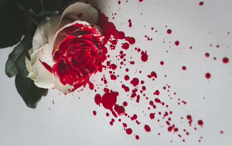 Enzyme Bsp.: Amylasen, Cellulasen, Proteasen, Lipasen Enzyme sind die Geheimwaffen jedes Reinigungsmittels. Die Biomoleküle sind darauf spezialisiert, bestimmte Verschmutzungsarten wortwörtlich in ihre Einzelteile zu zerlegen. Kartoffelpüree und andere stärkehaltige Flecken werden von Amylasen zerlegt und von Kleidung oder Geschirr entfernt. Lipasen zersetzen Fette und Öle selbst bei niedrigen Temperaturen und Cellulasen helfen bei der Reinigung von Baumwolltextilien, indem sie bestimmte, oberflächliche Teile der Cellulosefasern angreifen und zusammen mit der Verschmutzung ablösen. Schließlich spalten Proteasen proteinhaltige Flecken aus Blut, Milch oder Ei. Diese Enzyme gehören zu den verbreitetsten in Waschmitteln und Spülmaschinentabs.  (Unsplash/Alexandre Boucey)