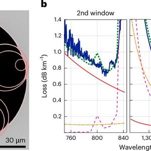 Hohlkernfaser unter dem Elektronenmikroskop: Abgleich von Simulation und Messung bestätigt die extrem geringe Dämpfung der neuen Breitband-Hohlkernfaser über einen weiten Wellenlängenbereich. Links ist der Querschnitt einer Double-Nested Antiresonant Nodeless Fibre (DNANF) zu sehen; die markierten Kanten der röhrenförmigen Resonatoren dienen der Kalibrierung des Verlustmodells. Rechts zeigen Messung und Simulation, wie Leckage, Oberflächenstreuung und Mikrobiegeverluste die Dämpfung in den ersten beiden antiresonanten Übertragungsfenstern prägen. (Bild:  International License: Petrovich, M. N.; Fokoua, E. N./Nature Photonics [1] – Creative Commons Attribution 4.0)