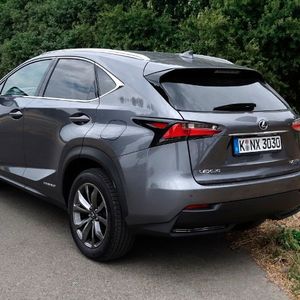 (Foto: Wolfgang Sievernich)