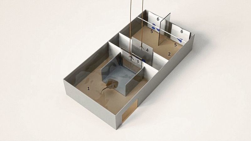 „Rechnen mit Stachelrochen“, Versuchsaufbau: 1) Start-Box, 2) Versuchsbereich, 3) Guillotinen-Tür, 4) Tür mit „Rechenaufgabe“ (Stimulus), 5) Entscheidungsbereich, 6) präsentierte Antwortmöglichkeiten (Schluessel, V., Kreuter, N., Gosemann, I.M. et al.; DOI 10.1038/s41598-022-07552-2)