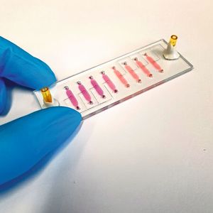 Ein Bio-Chip im Labor an der TU Wien