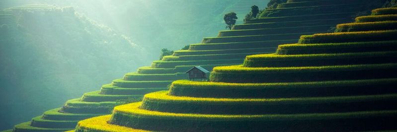 Um auch zukünftig die Nahrungsversorgung aller Menschen sicherstellen zu können, erweisen sich IoT-Technologien als vielversprechender technologischer Ansatz.(Bild:  gemeinfrei /  Pixabay)