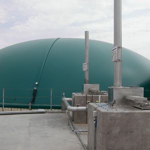 Über dem Fermenter fangen zwei Gasdome das von den Bakterien erzeugte Biogas auf. Nach der Fermentation wird die Biomasse, die sich als geruchsarmer Dünger eignet, in einem Gärrestelager (Hintergrund, mit grüner Kuppel) gespeichert. 
