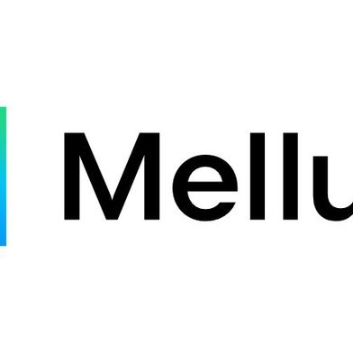 Mellum2 ist JetBrains' erstes von Grund auf quelloffenes Modell und löst den 2025 freigegebenen 4B-Vorgänger ab. (Bild: JetBrains)