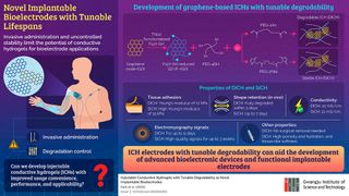 Forscher des Gwangju Institute of Science and Technology haben injizierbare Bioelektroden mit einstellbaren Lebensdauern entwickelt. (Bild: Gwangju Institute of Science and Technology )
