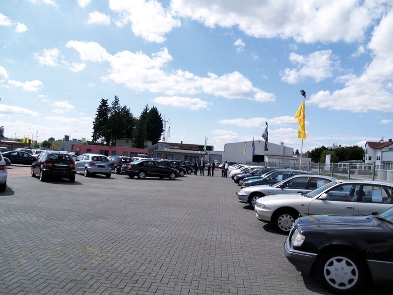 In Reih und Glied stehen die Jung- und Gebrauchtwagen. (Archiv: Vogel Business Media)