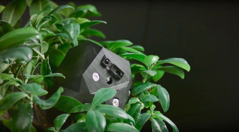 Dadurch wird deren Wachstum in Formen und Muster geleitet, die ansonsten so nicht entstehen würden.  (Projekt flora robotica)