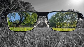 Wie unser Auge Farben erkennt: PSI-Forschende haben wichtige Details über die molekularen Mechanismen entschlüsselt, mit denen Proteine in der Netzhaut bei Tageslicht Farben unterscheiden und Bewegungen bei Tageslicht wahrnehmen. (Symblbild) (Bild: © Maria Vonotna - stock.adobe.com)