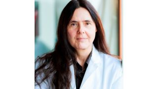 Evamarie Hey-Hawkins, Chemie-Professorin an der Universität Leipzig, leitet den Forschungsverbund Smart Inorganic Polymers (SIPs), der sich mit anorganischen Polymeren mit smarten Eigenschaften befasst. (Christian Hüller/Universität Leipzig)