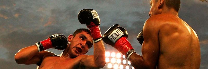 Um schmerzhafte Angriffe und Attacken als Verteidigung geht es beim Thema Malware, das in Zukunft auch von KI und ML bestimmt sein könnte. (Bild:  gemeinfrei / Pexels)