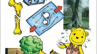 Mehr über Kerbformoptimierung und die Natur der Kerbspannungen findet man in Prof. Matthecks Buch. (Bild: Mattheck)