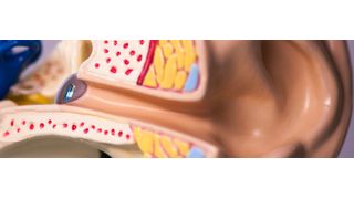 Bei der Hörkontaktlinse werden Mikrofon, Klangprozessor und aufladbare Mikrobatterie direkt integriert. Das Hörgerät bleibt immer im Ohr, es ist kein Batteriewechsel erforderlich.  (TU Berlin)