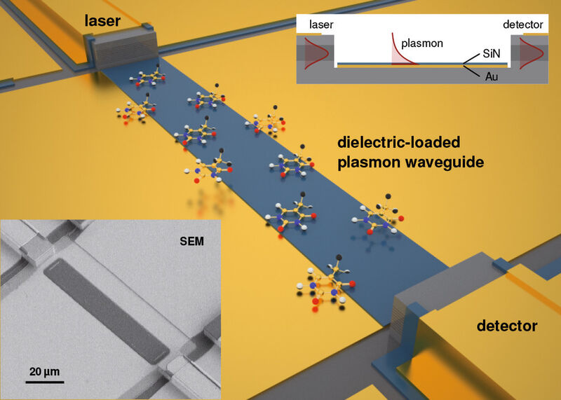 Abb. 2: Aufbau des monolithischen Sensors: Das Licht gelangt vom Laser außen entlang des „dielektrisch beladenen“ plasmonischen Wellenleiters zum Detektor. Dabei wird es, je nach Zusammensetzung der Flüssigkeit, unterschiedlich stark absorbiert. (Bild: B.Schwarz et al. Nature Commun 5, 4085, 2014 [2])