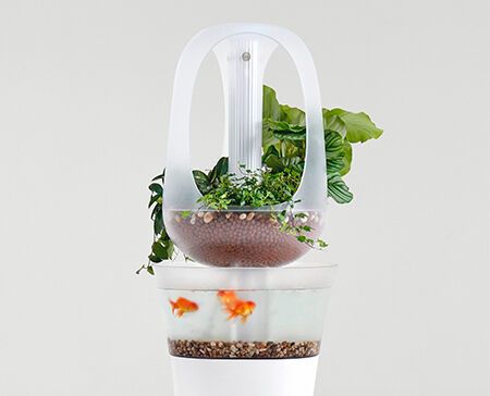 Mit „Eva“ hat der Designer Francois Hurtaud ein moderne Aquaponik-Möbelstück kreiert. Bei Aquaponik handelt es sich um eine nachhaltige Methode der Landwirtschaft, bei der die Pflanzenproduktion pro Quadratfuß gegenüber traditionelle Landwirtschaft mit geringem Wasser- und Stromverbrauch betrieben wird. Eva wurde so konzipiert, dass die verschiedenen Teile einfach ineinander greifen und die Schwerkraft dabei die Arbeit erledigt. Somit sind keine Werkzeuge erforderlich. Sowohl der Garten als auch der Fischtank teilen sich eine gemeinsame Lichtquelle, die im Kern des Produkts schwebt. (Francois Hurtaud/Purmundus Challenge)