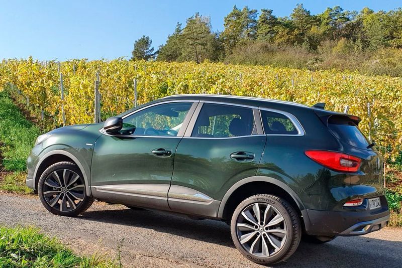 Mit den stark ausgeformten Radhäusern zeigt der Kadjar Charakter.  (Julia Mauritz/»kfz-betrieb«)