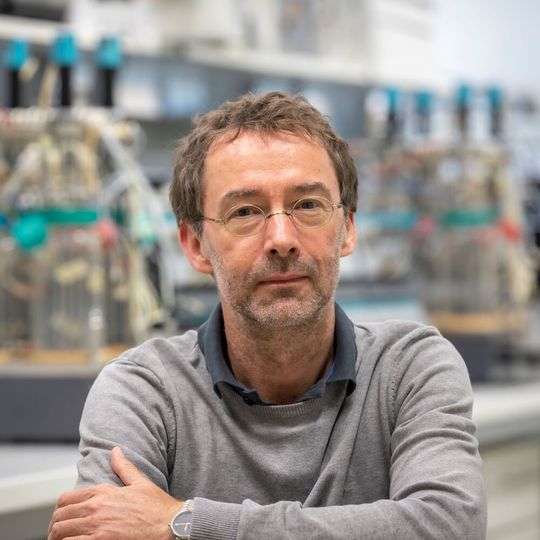 Bernd Nidetzky ist zusammen mit Kollegen an der TU Graz die Biokatalyse von Pseudouridin gelungen. Bernd Nidetzky ist zusammen mit Kollegen an der TU Graz die Biokatalyse von Pseudouridin gelungen.