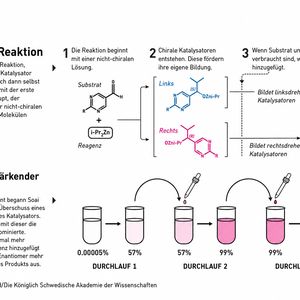 Mit der Soai-Reaktion zur fast perfekten Homochiralität. Durch einen selbstverstärkenden Prozess reichert sich eine der beiden Enantiomer-Varianten im Gemisch mit jedem Reaktionsdurchlauf stärker an.(Bild:)