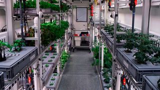 In der Antarktis wird mit Idem-Regalsystemen der Nahrungsanbau für Astronauten erforscht. (DLR)