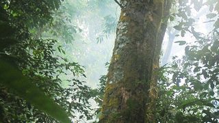 89506446 (Bild: gemeinfrei, stokpic / Pixabay)