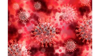 The report is a clinical consensus statement authored by a group of experts from across Europe, led by Professor Vassilios Vassiliou from University of East Anglia and Norfolk and Norwich University Hospital, UK, on behalf of the European Society of Cardiology.  (Source: European Society of Cardiology )