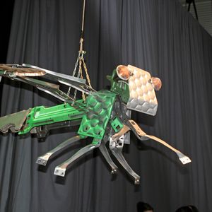 Die Libelle zeigt anschaulich, wie Leichtbau in der Natur funktionieren kann.