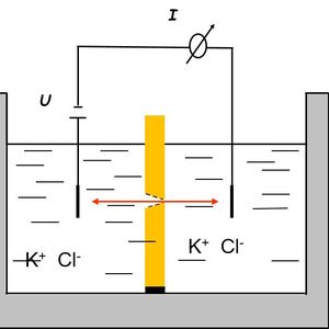 Schemazeichnung der elektrochemischen 2-Kammer-Messzelle mit zwei Elektroden mit der Nanoporen-Polymerfolie in der Mitte.(Bild:  TU Darmstadt)