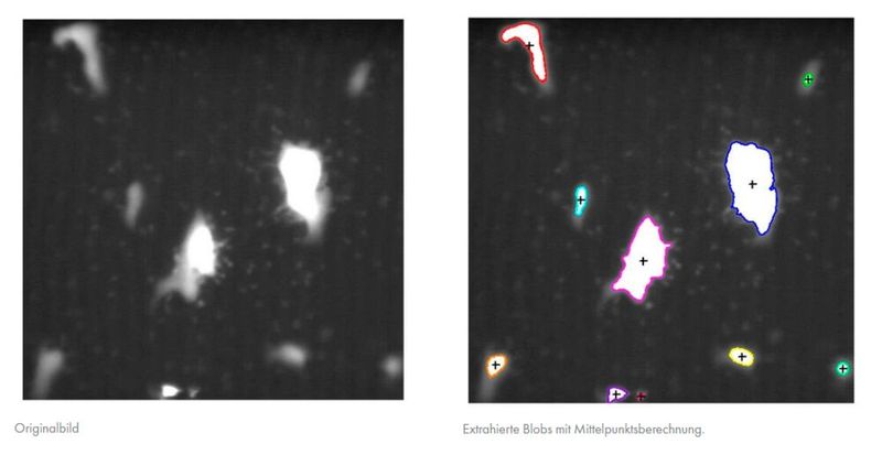 Die Blobanalyse erkennt Defekte.  (Bild: MVTec Software GmbH)