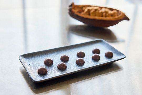 Food Brewer produziert Schokolade aus einzelnen Zellen der natürlichen Kakaobohne. Dazwischen liegt ein Prozess, der dem Bierbrauen ähnelt. (Bild:  Endress+Hauser)