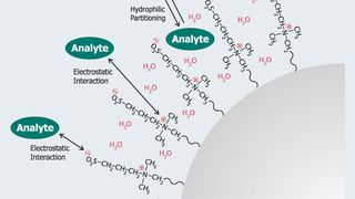 Abb.2: Retentionsmechanismus
auf ZIC-HILIC/
ZIC-pHILIC Material (Archiv: Vogel Business Media)