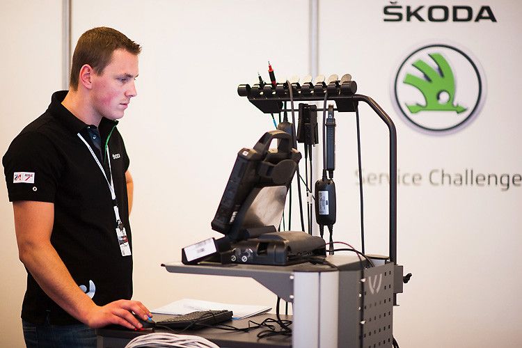 Ermittelt wurden die Sieger in vier Kategorien, ... (Foto: Skoda Deutschland)