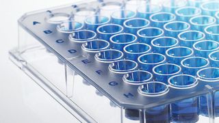 Brandplates Mikrotiterplatten mit immunograde Oberfläche (Bild: Brand)