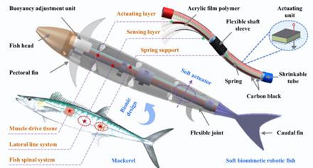 Konstruktionsprinzip Roboterfisch.(Bild:  Shenyang Institute of Automation)