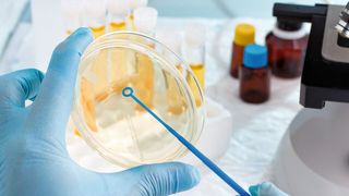 Abb.2: Gerade die Planung des Vorrats von Verbrauchsmaterialien ist für den reibungslosen Ablauf in einem Labor enorm wichtig. (Labtopia)