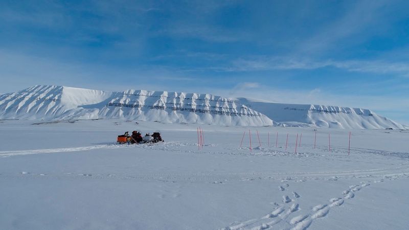 Salomon and Maus and their colleagues are also taking samples in Svalbard, out on the sea ice in Van Mijenfjorden near the mining town of Svea. (Martina Lan Salomon)