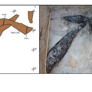 The wooden structure, showing where Stone Age Humans have cut into the wood(Source:  Professor Larry Barham, University of Liverpool)