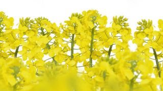  (© vencav - Fotolia)