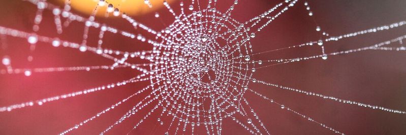 Bei der Datenübermittlung an Drittstaaten sollten Unternehmen aufpasse, dass sie nicht ins Netz der EU-Rechtsprechung gehen.(Bild:  gemeinfrei / Pexels)