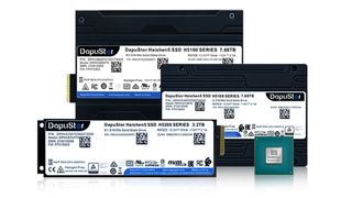 Die Haishen5-SSDs von DapuStor setzen auf PCIe-5.0-Technik. (Bild: DapuStor)