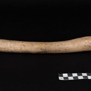 (Oleg Kuchar, Photo Museum Ulm)