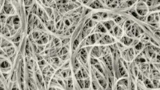 Kohlenstoff Nanoröhren (Rasterelektronenmikroskop) (Bild: Wikipedia)