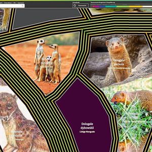 Das Lifegate sortiert die Lebewesen nach Verwandtschaft. Der nächste lebende Verwandte des Erdmännchens ist zum Beispiel die Listige Manguste – je weniger Trennlinien, desto größer die Verwandtschaft. Für die Listige Manguste wird noch ein Foto gesucht.(Bild:  LifeGate von Martin Freiberg)