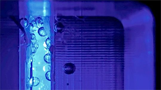 Photoelektrochemische Zellen (PEC-Zellen) kann man als eine Art künstliches Pflanzenblatt betrachten, was ihre Funktionsweise angeht. Mit ihnen kann man aus Wasser Wasserstoff gewinnen. Diesen Effekt haben Berliner Forscher jetzt deutlich verstärken können.(Bild:  F. Liang / HZB)